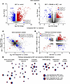 Analysis of the lung RNA-Seq from male rats with CM5480 monotherapy.