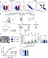 CM5480 monotherapy has a positive effect on RV remodeling in male MCT rats.