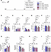 Dual therapy CM5480+sildenafil or CM5480+ambrisentan shows a better efficie