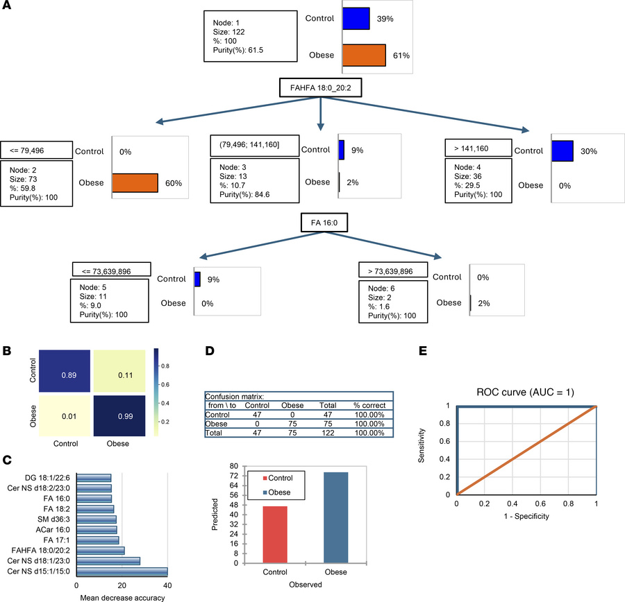 Predictive modeling of obesity status using lipidomic data.
(A) A decisi...