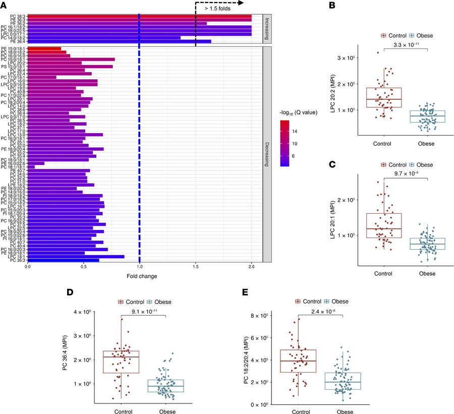 Differential phospholipid profiles in adiposomes of individuals in the o...