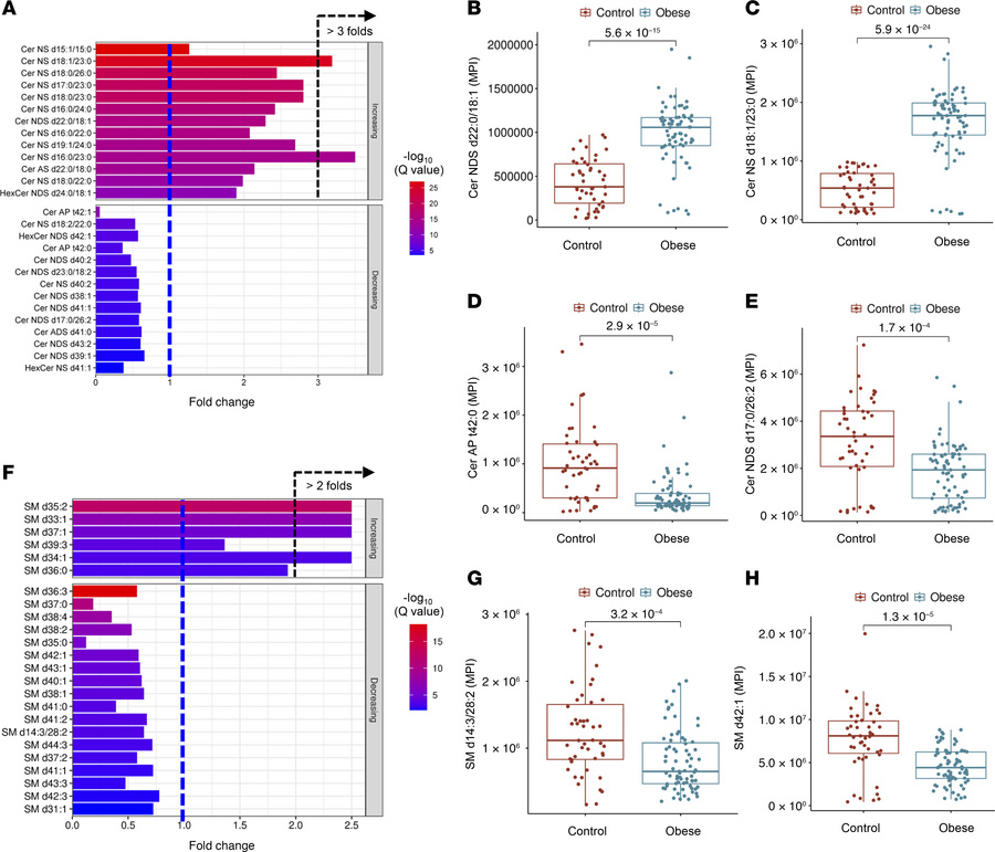 Ceramide and sphingomyelin alterations in adiposomes of individuals in t...