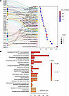 Pathway enrichment analysis of differential adiposome lipid species.