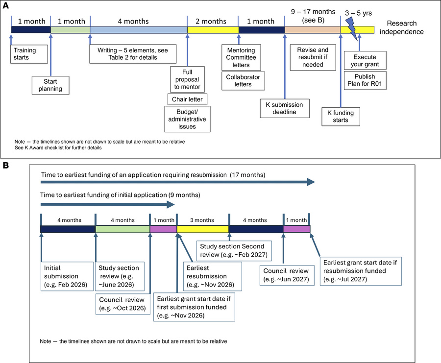 Typical timelines for NIH K award applications.
(A) The timeline expecte...