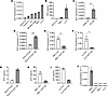 SCF production and c-Kit expression in murine cancer cell lines.