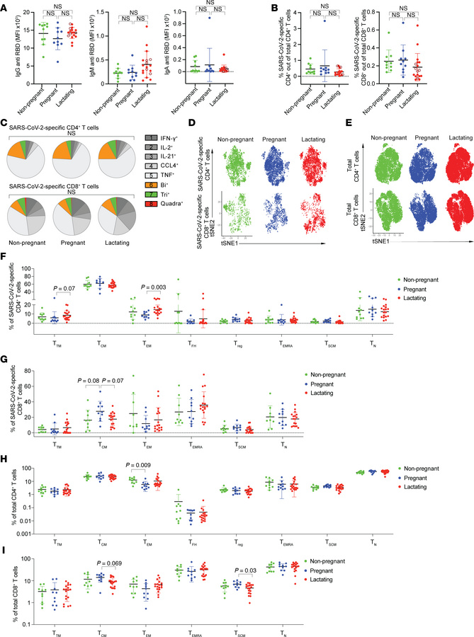 SARS-CoV-2–specific antibody responses and T cell responses are similar ...