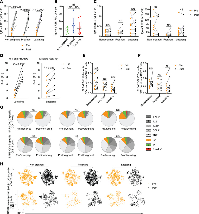 SARS-CoV-2–specific antibody and T cell responses change similarly in no...