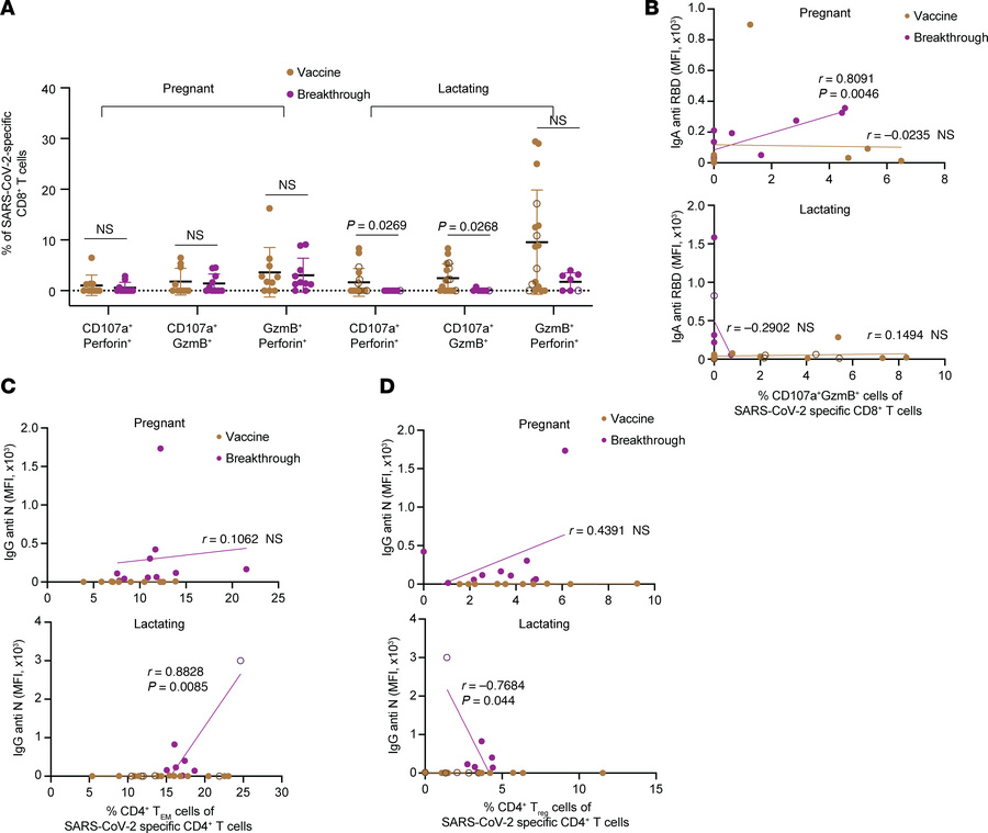 Breakthrough infection diminishes cytolytic SARS-CoV-2–specific CD8+ T c...