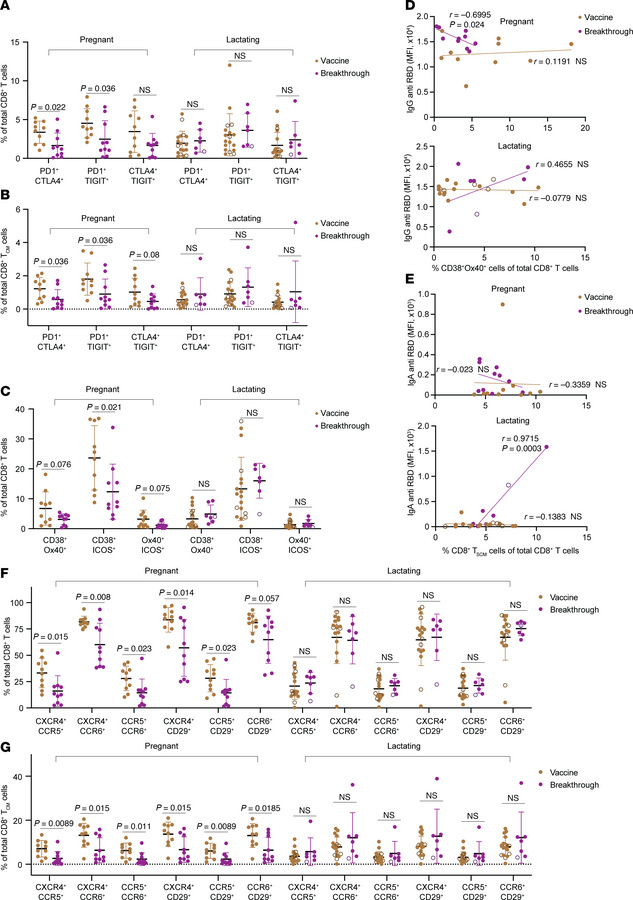 Breakthrough infection diminishes activated, tissue-homing CD8+ T cells ...
