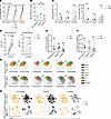 SARS-CoV-2–specific antibody and T cell responses change similarly in nonpr