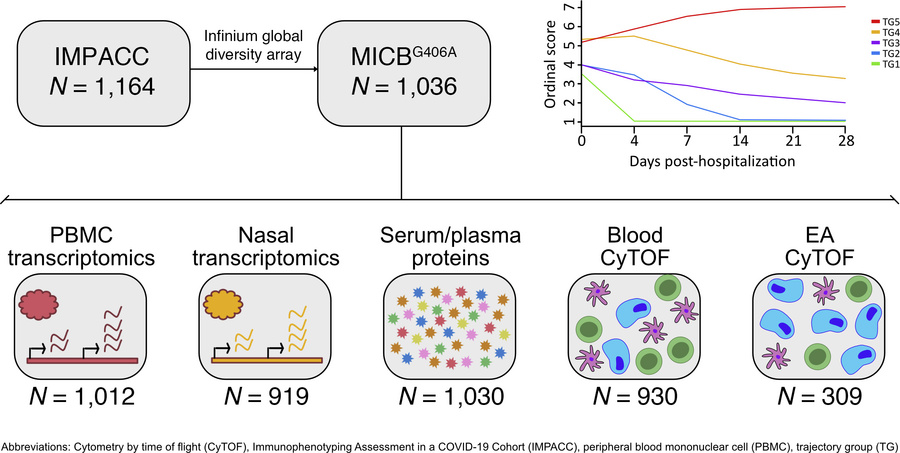 Schematic for the study and the nested subsets of assays available for i...