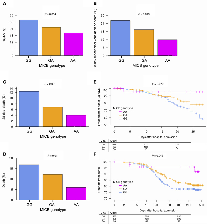 COVID-19 morbidity and mortality by MICBG406A polymorphism.
(A–D) Freque...