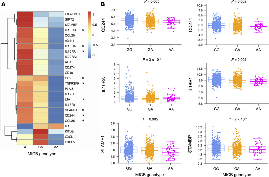 Serum proteins by MICBG406Apolymorphism.
Visit 1 serum protein levels by...