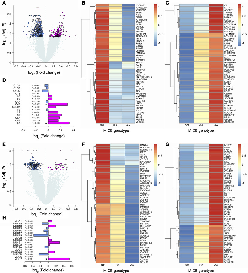 PBMC and upper airway gene expression by MICBG406 polymorphism.
Visit 1 ...