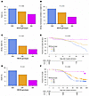 COVID-19 morbidity and mortality by MICBG406A polymorphism.