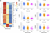 Serum proteins by MICBG406Apolymorphism.