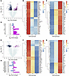 PBMC and upper airway gene expression by MICBG406 polymorphism.