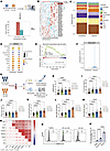 Elevated serum HMGB1, NET, and IL-33 levels are associated with SP-AKI in p