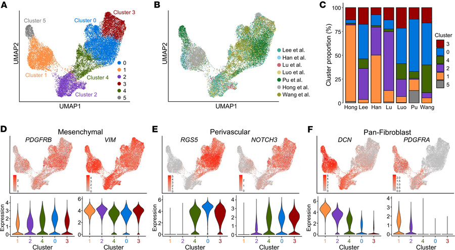 Stromal subclustering identifies broad CAF and perivascular populations....