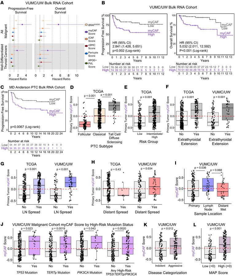 myCAFs are associated with aggressive thyroid cancer tumor phenotypes.
(...