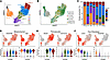 Stromal subclustering identifies broad CAF and perivascular populations.