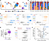myCAFs are enriched in anaplastic and BRAF-like papillary thyroid cancer.