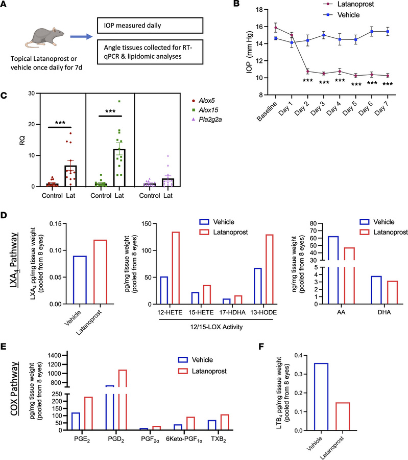 The LXA4 and COX pathways are induced by latanoprost treatment in vivo.
...