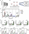 The AA/lipoxin circuit is induced by latanoprost and timolol treatment in h