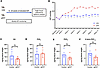 The AA/lipoxin circuit is not induced by OHT alone.