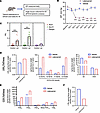 The LXA4 and COX pathways are induced by latanoprost treatment in vivo.