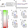 LXA4 does not cause acute IOP lowering, but inhibits proinflammatory cytoki