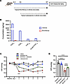 Prostaglandin synthesis is required for latanoprost acute IOP-lowering acti