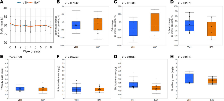 BAY treatment did not impact body mass but led to modest decreases in re...