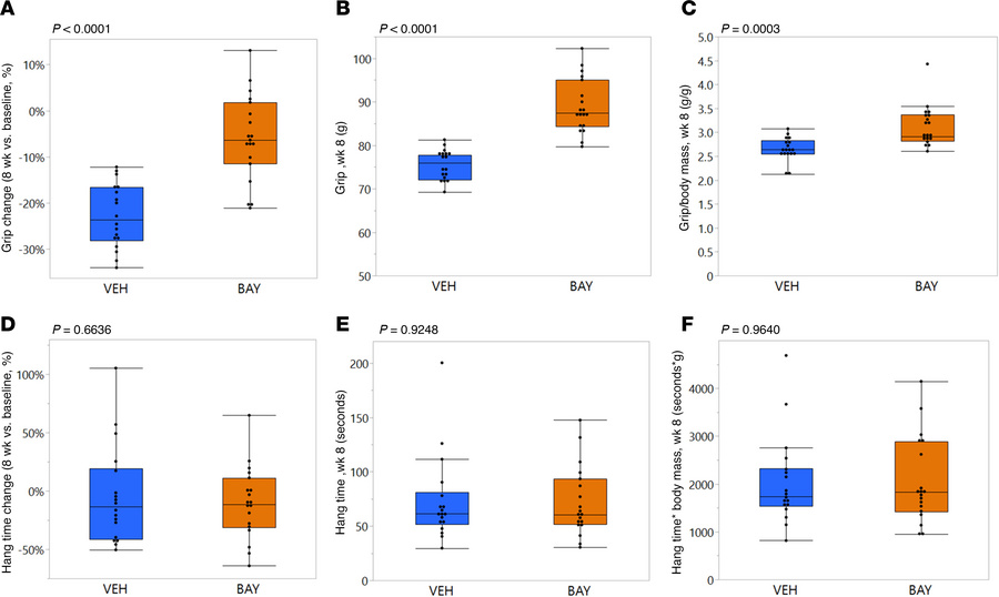BAY treatment prevented a decline in forelimb grip strength over time.
G...