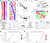 Transcriptomic and proteomic data supported the histological data and sugge
