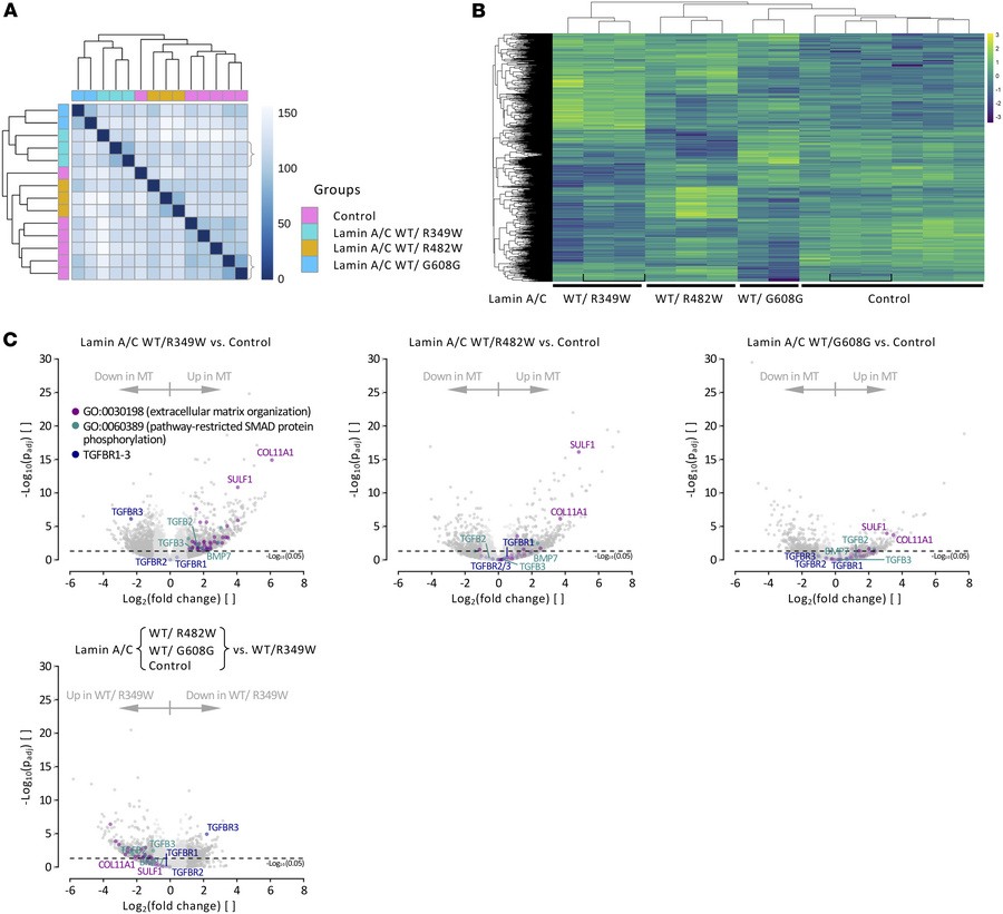 Transcriptomic profiling of patient-derived fibroblasts indicates altera...