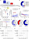 Lamin A/C Arg349Trp associates with high levels of proteinuria and kidney f