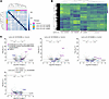 Transcriptomic profiling of patient-derived fibroblasts indicates alteratio