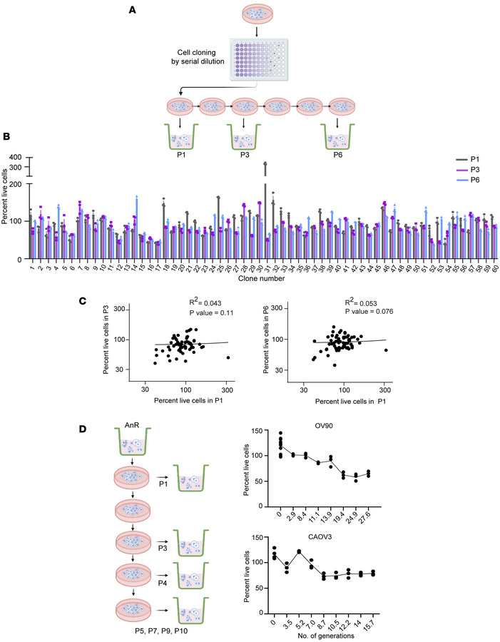 Acquired anoikis resistance represents a transient memory state in the p...