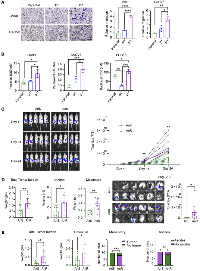 Acquired anoikis resistance leads to increased in vitro migration and ch...