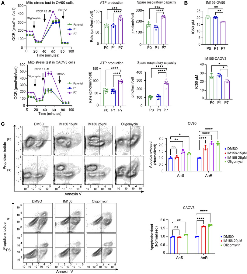 Adapted AnR cells are dependent on OXPHOS for enhanced survival upon los...