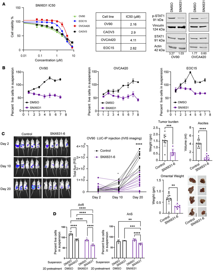 CDK8/19 mediator kinase inhibition prevents development of anoikis resis...