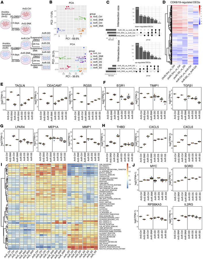 CDK8/19 inhibition induces bidirectional transcriptional reprogramming i...