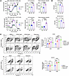Adapted AnR cells are dependent on OXPHOS for enhanced survival upon loss o