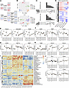 CDK8/19 inhibition induces bidirectional transcriptional reprogramming in a