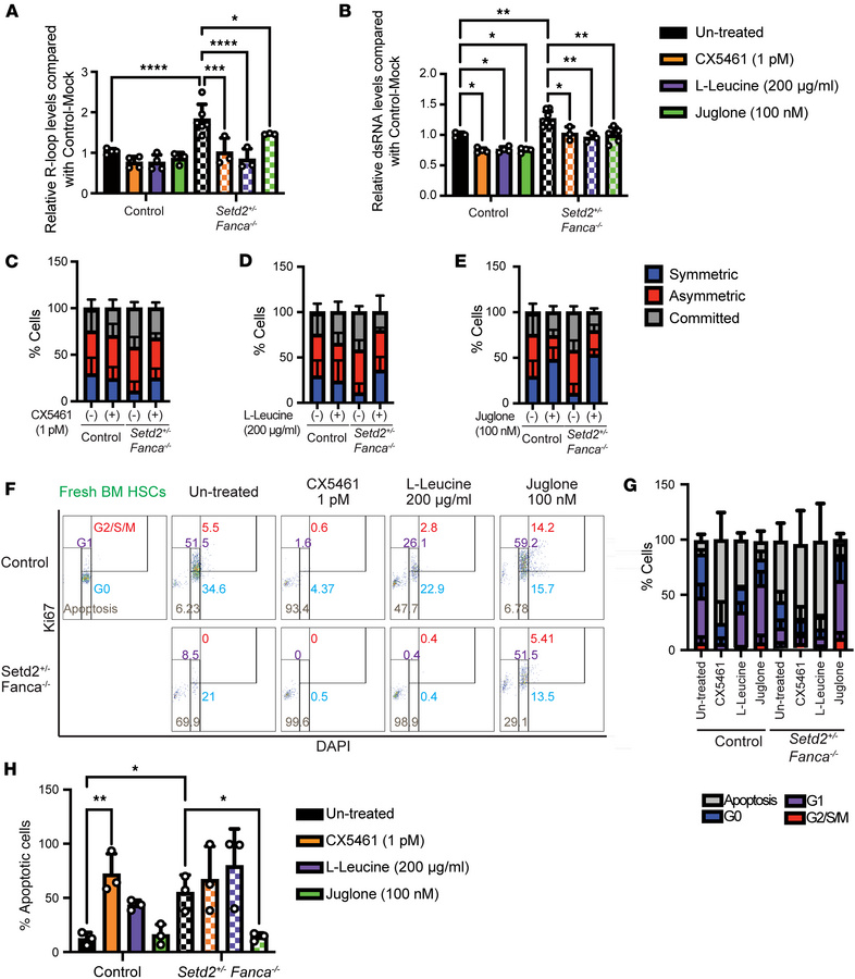 Inhibition of RNA polymerases reduces R-loops and cell cycle defects and...