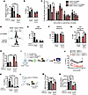 Treatment with Juglone slows cell division and facilitates the maintenance