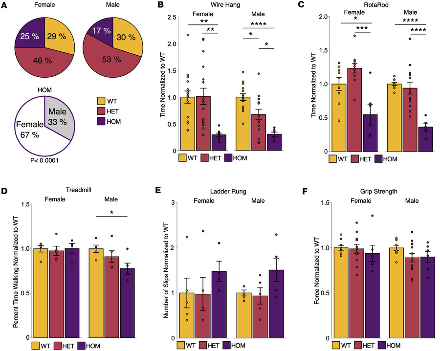 ΔF48 PKCγ causes ataxia-associated deficits in motor function.
Viability...