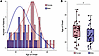 SCA14 has a later age of onset in female patients compared with male patien