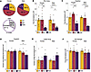 ΔF48 PKCγ causes ataxia-associated deficits in motor function.